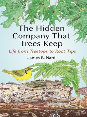 cover image of The Hidden Company That Trees Keep